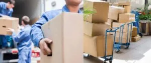 Experienced Movers and Packers